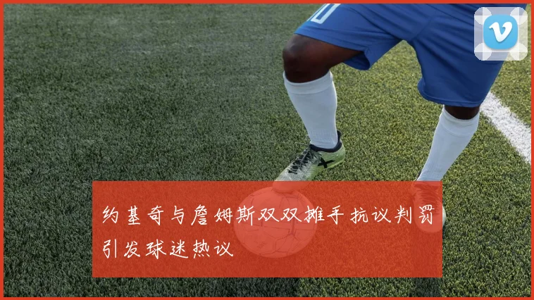 约基奇与詹姆斯双双摊手抗议判罚引发球迷热议