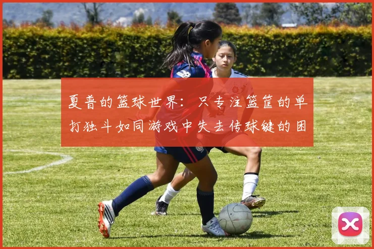 夏普的篮球世界：只专注篮筐的单打独斗如同游戏中失去传球键的困境