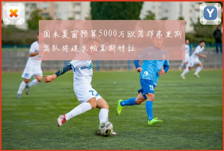 国米夏窗预算5000万欧若邓弗里斯离队将追求帕莱斯特拉