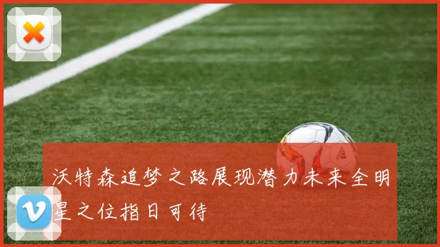 沃特森追梦之路展现潜力未来全明星之位指日可待